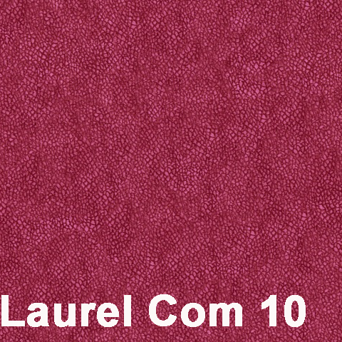 Laurel Com 10