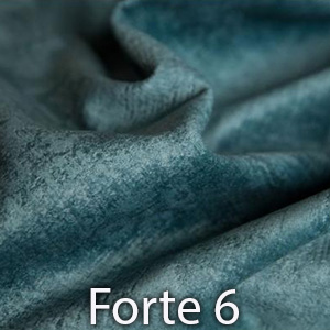 Forte 6