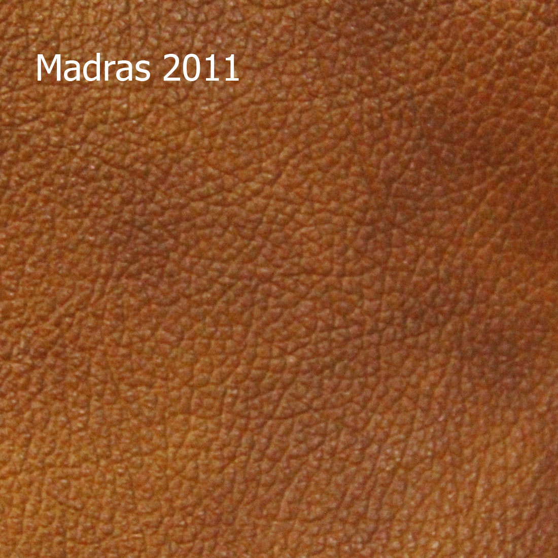 Madras 2011