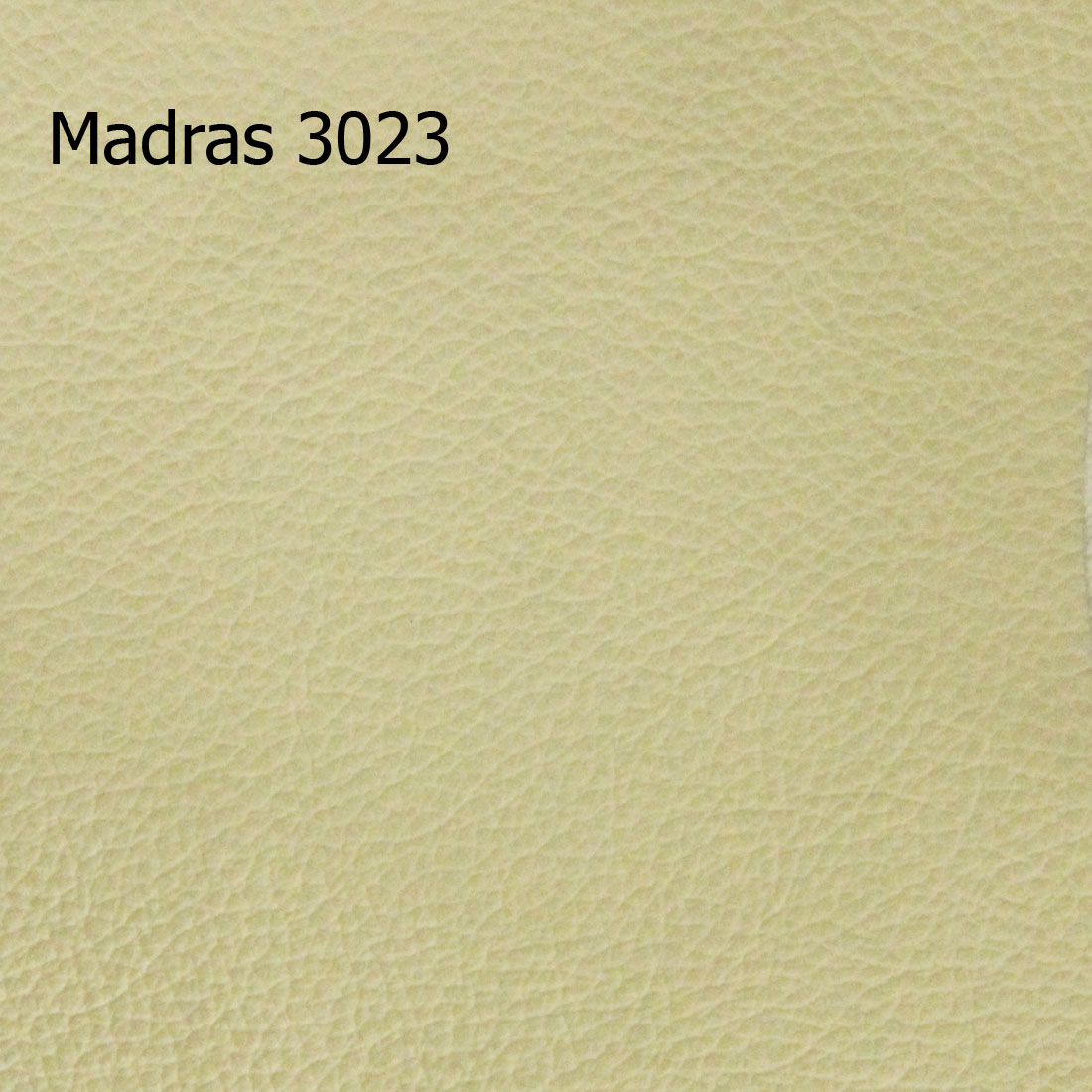 Madras 3023