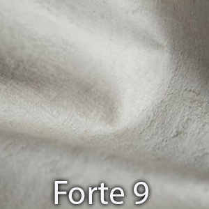 Forte 9