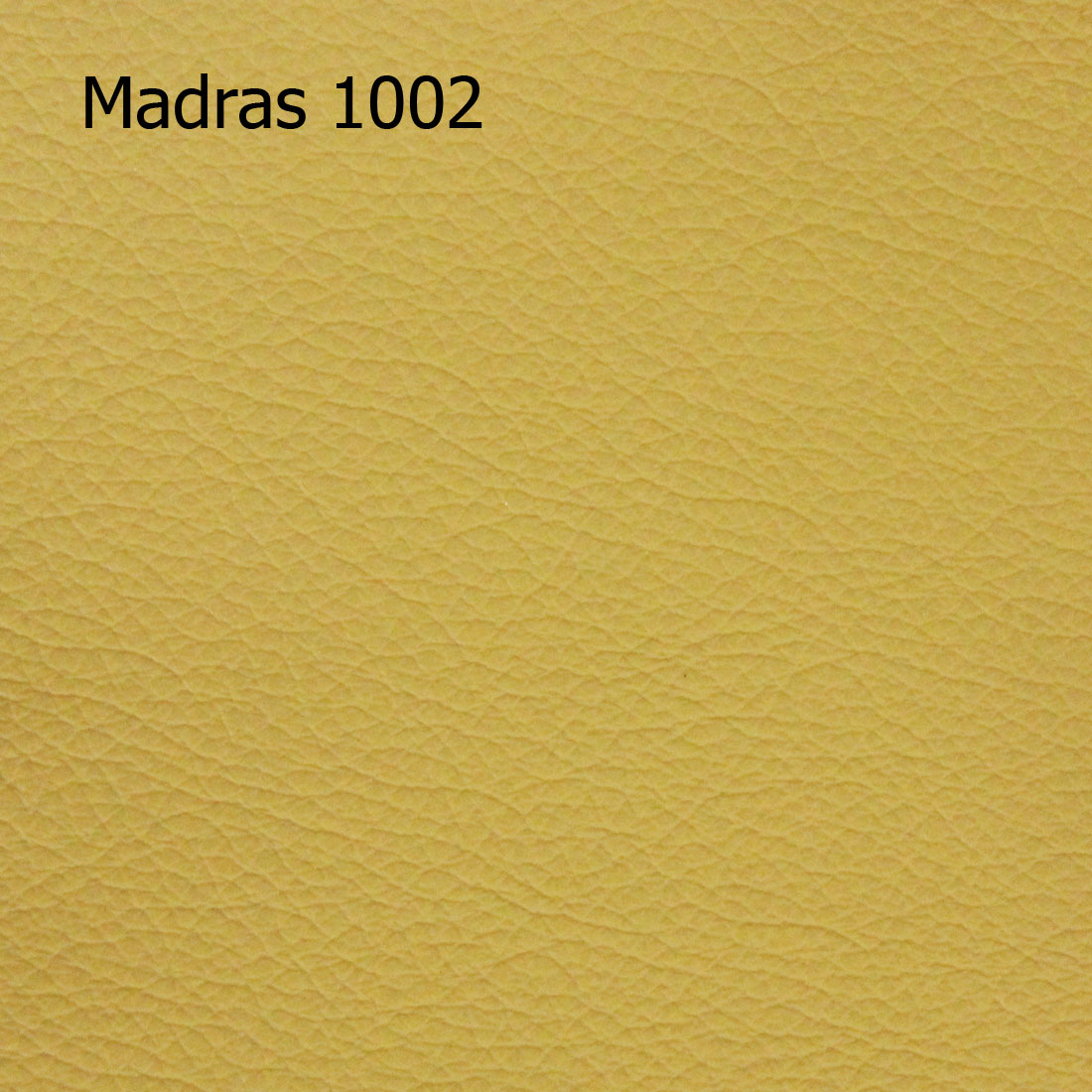 Madras 1002