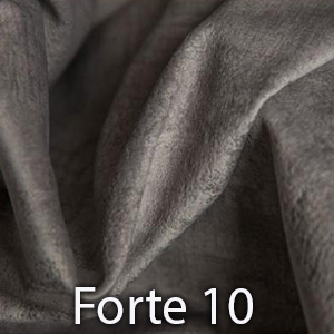 Forte 10