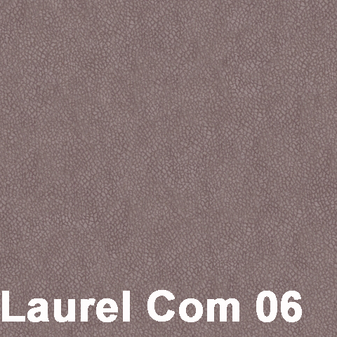 Laurel Com 06