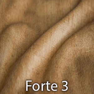 Forte 3