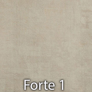 Forte 1