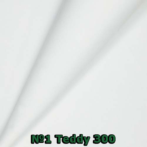 №1 Teddy 300