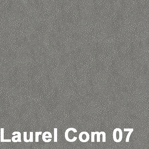 Laurel Com 07