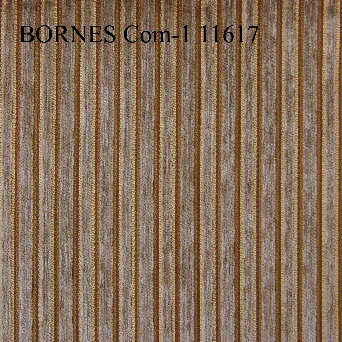 COM BORNES 11617