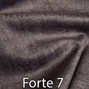 Forte 7
