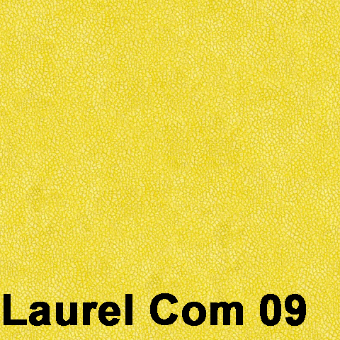 Laurel Com 09