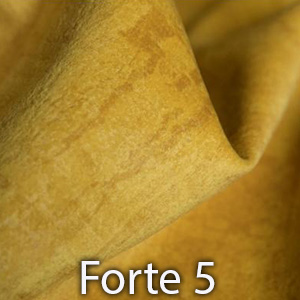 Forte 5