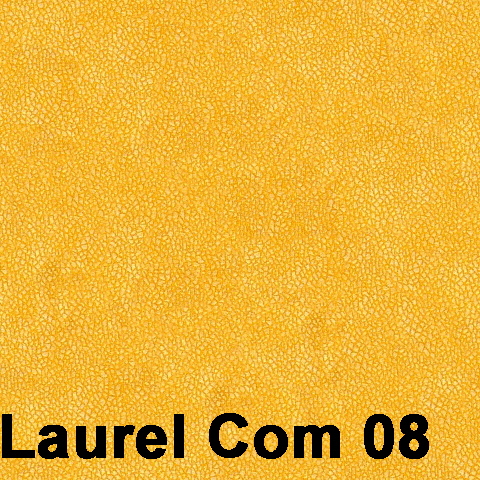 Laurel Com 08