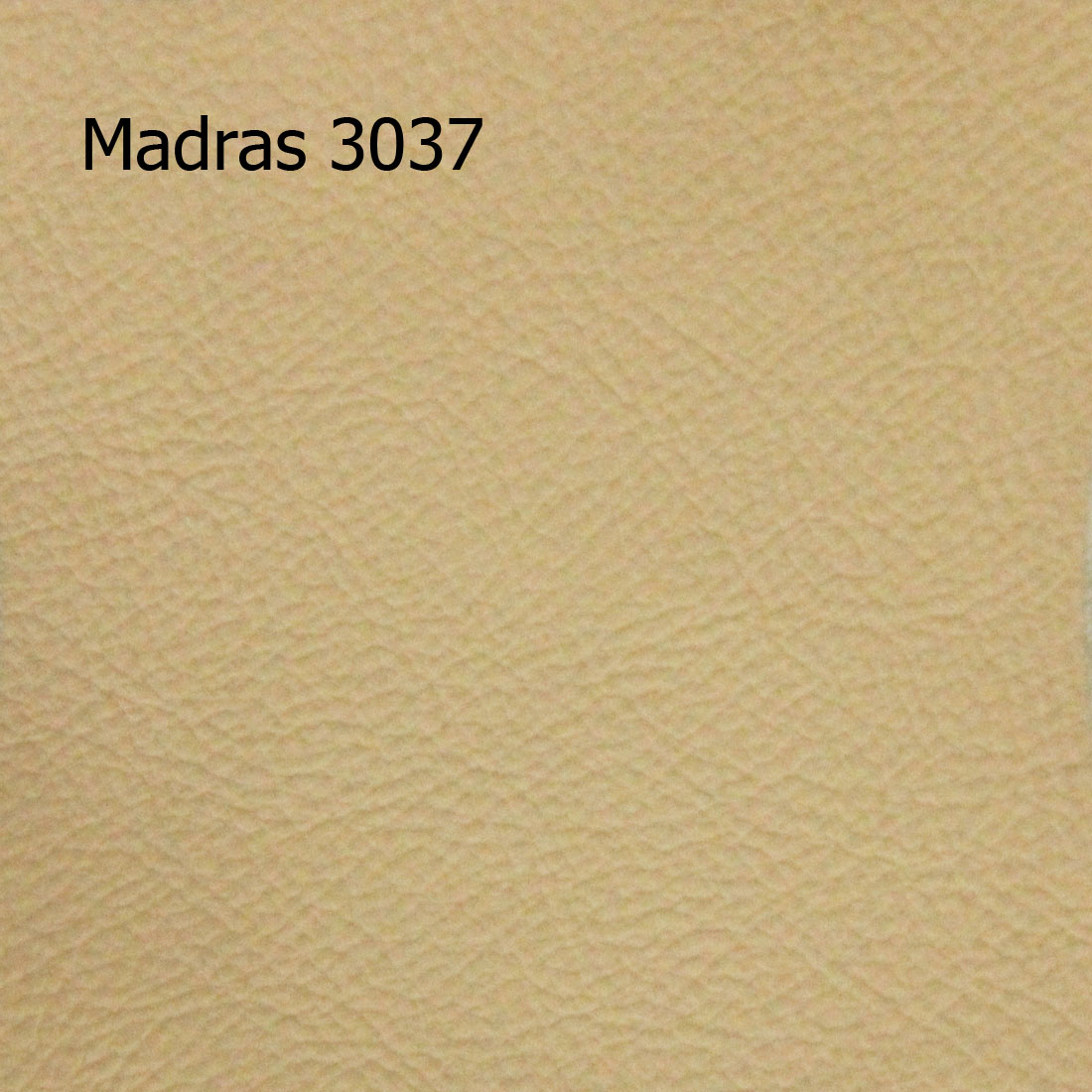 Madras 3037