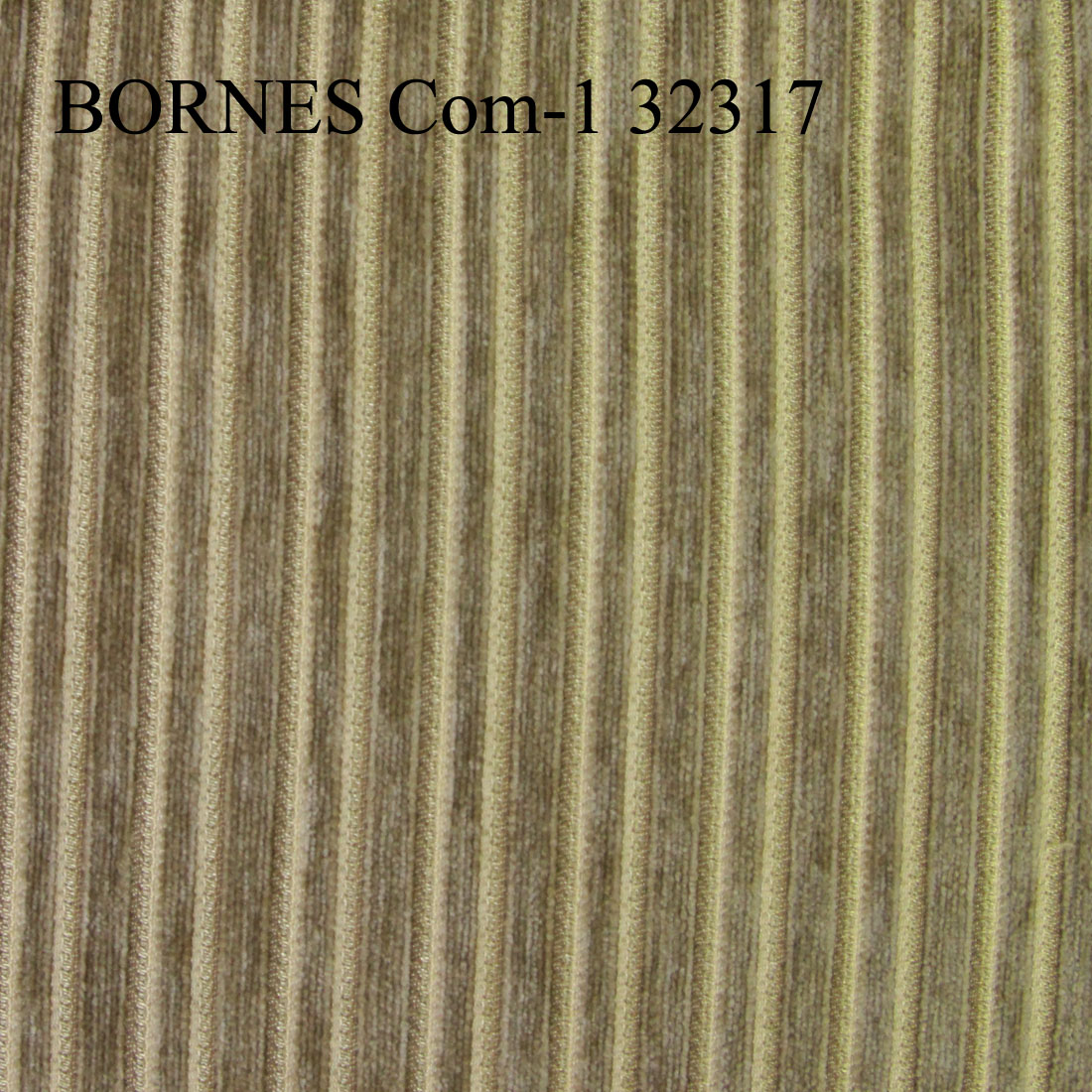 COM BORNES 32317