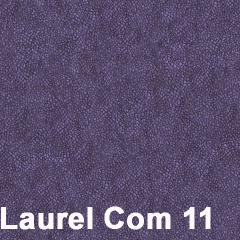 Laurel Com 11