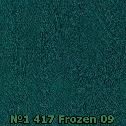 №1 417 Frozen 09