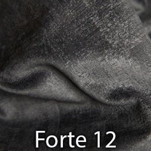 Forte 12