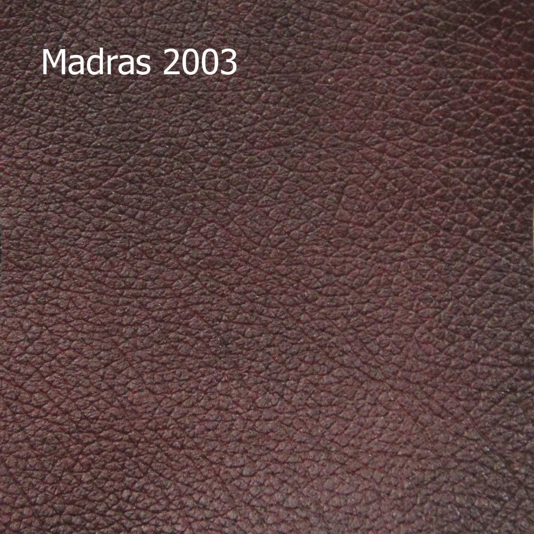 Madras 2003