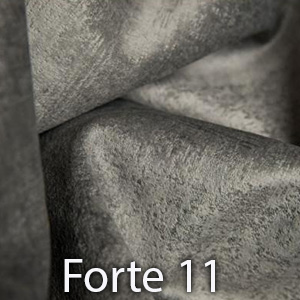 Forte 11